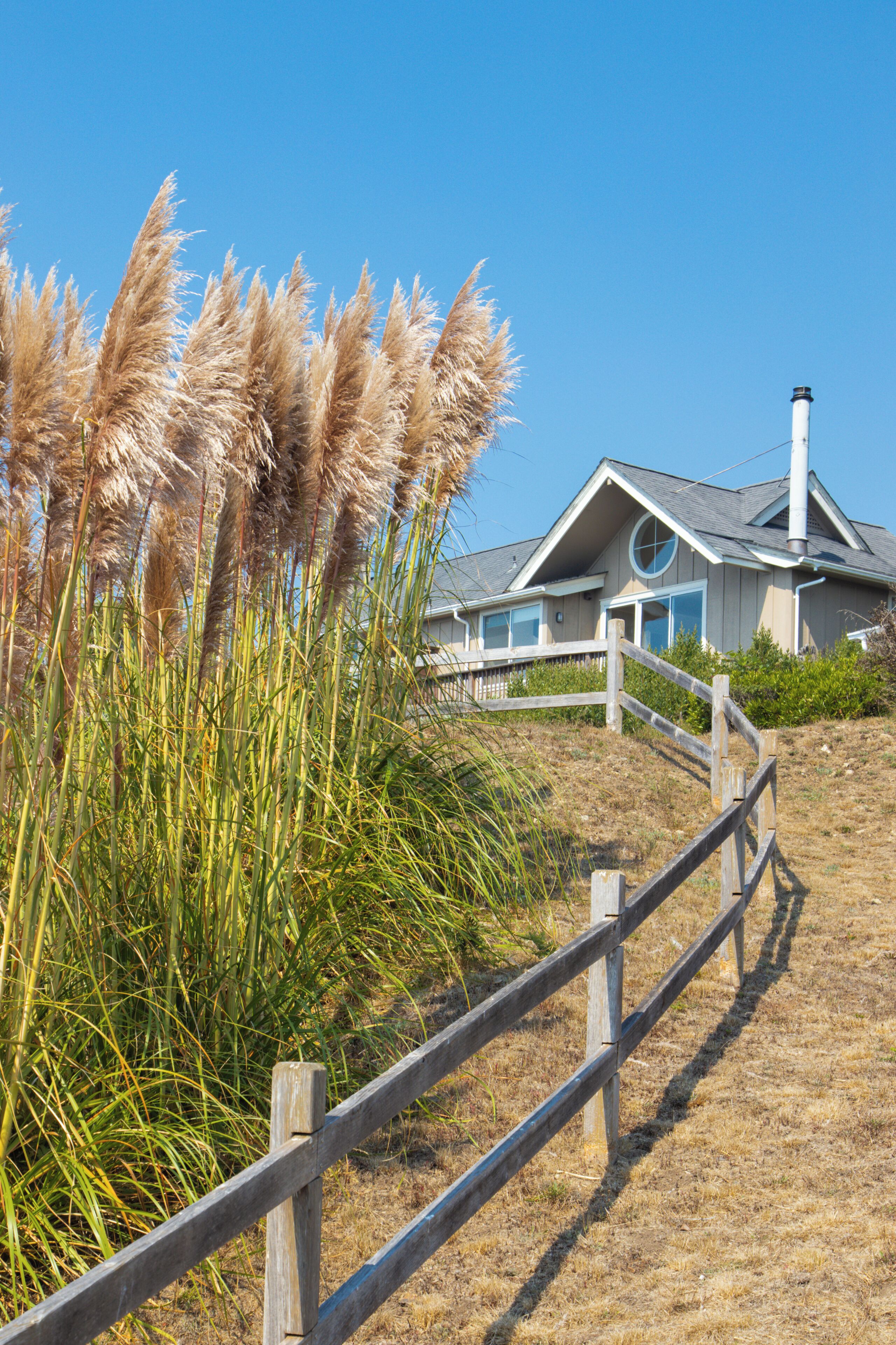 A house with a wooden fence, surrounded by tall grasses and a clear blue sky.