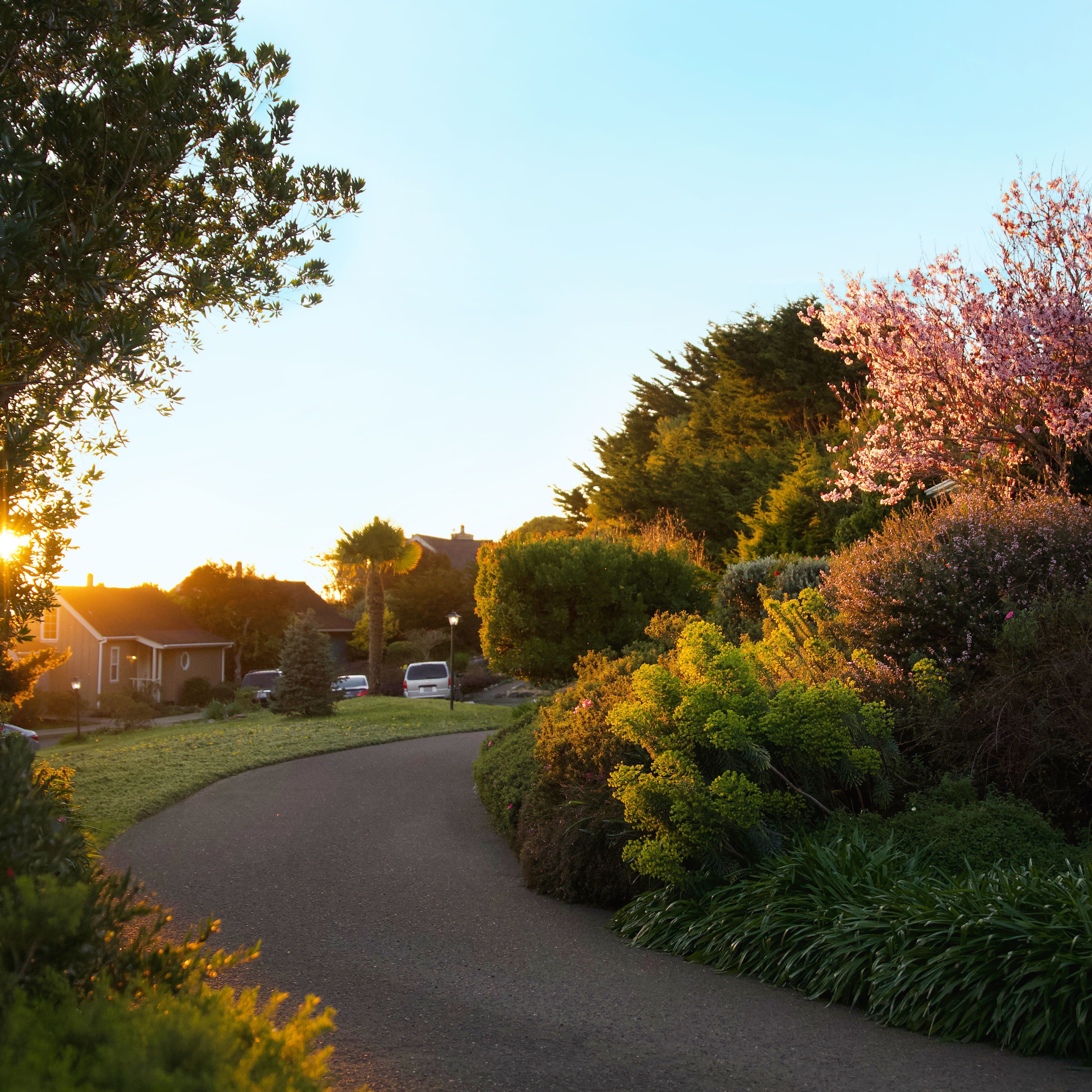 A residential driveway curving through a garden with a house and parked cars.