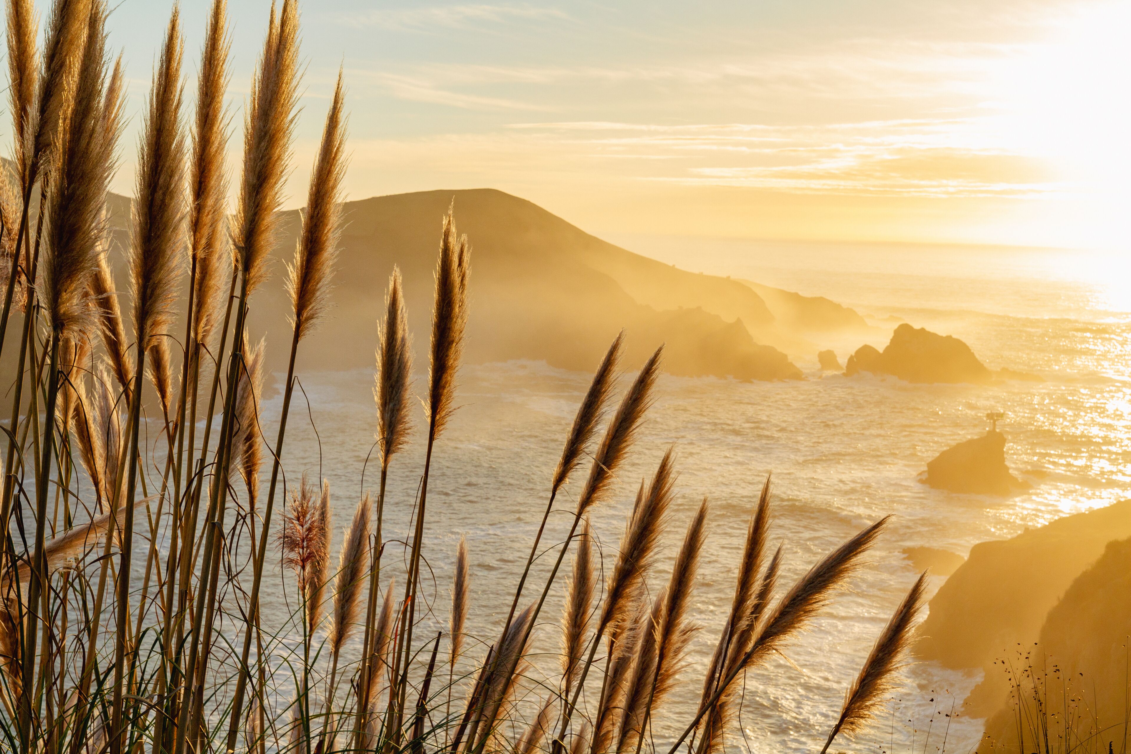 A coastal landscape with tall grasses in the foreground and rocky cliffs in the background.