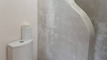 Un baño con pared de ducha curva, inodoro y cubo de basura.