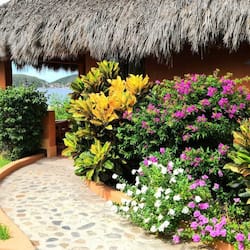 Standard King Room with Garden View | Terrace/patio