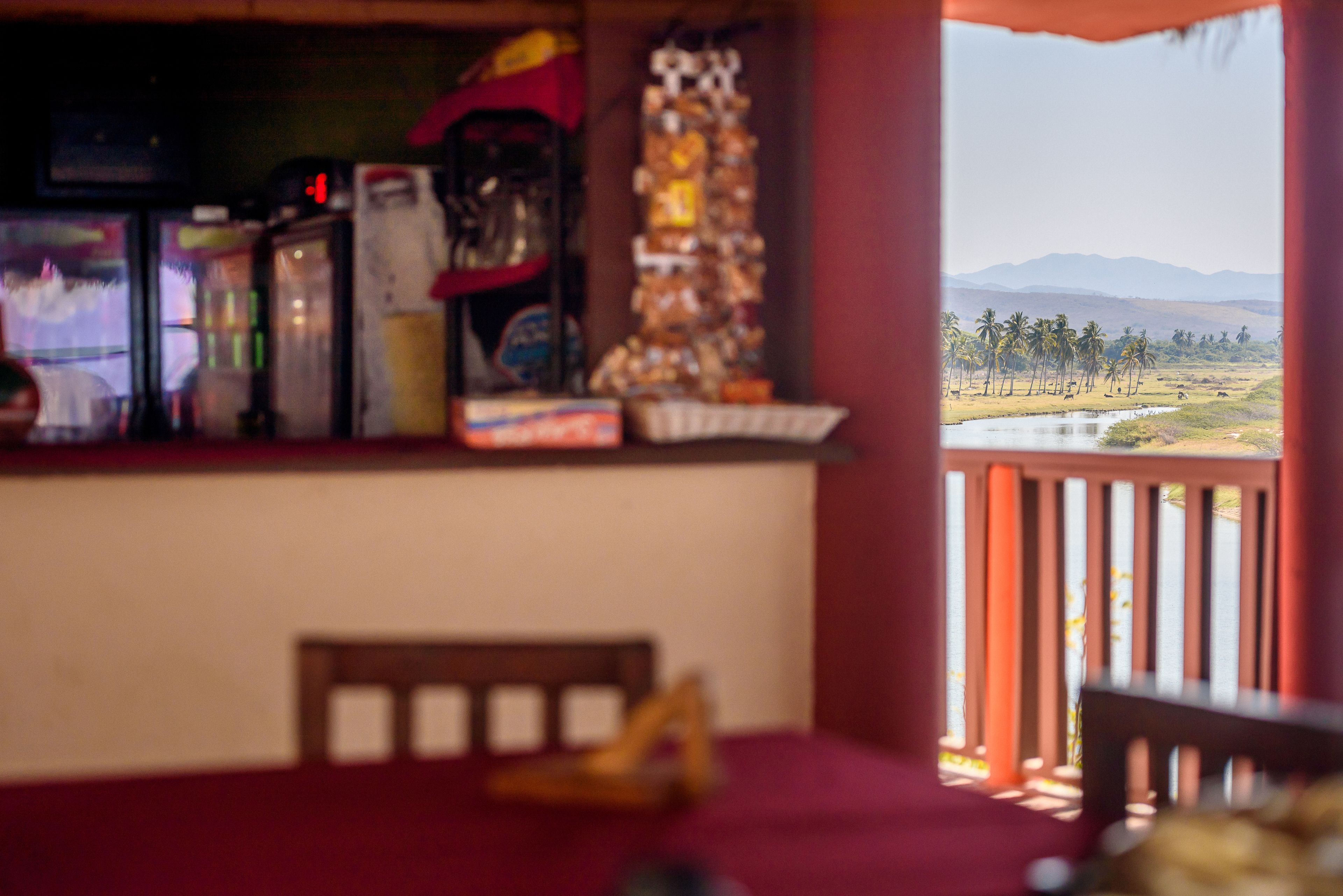 A room with a view of palm trees and mountains.