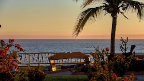 A wooden bench overlooking a body of water, surrounded by lush greenery and a palm tree. - Cabañas El Cielito (Villa del Mar)