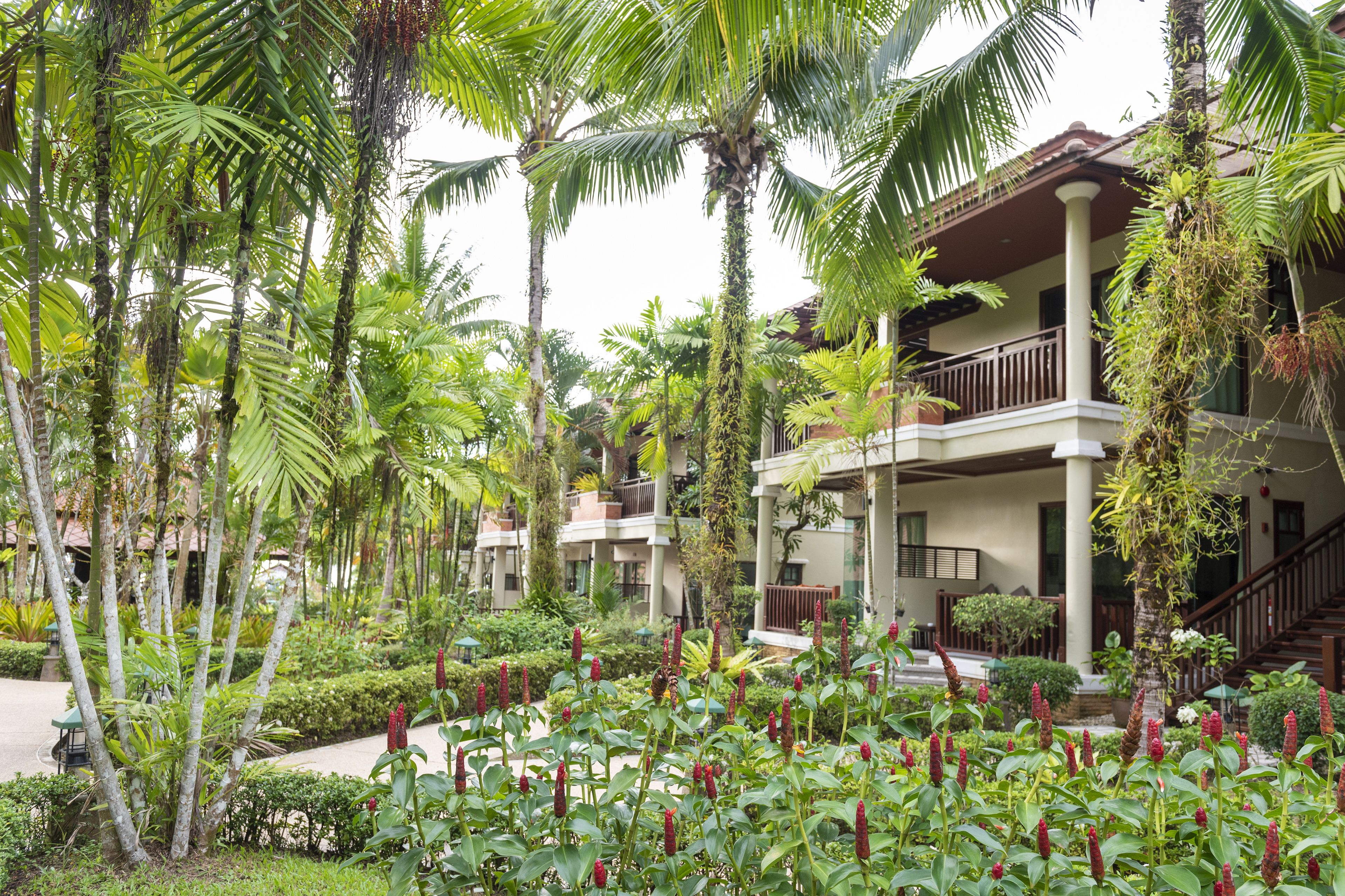Un resort con edificios de varios pisos, abundante vegetación tropical y un jardín cuidado con flores rojas.