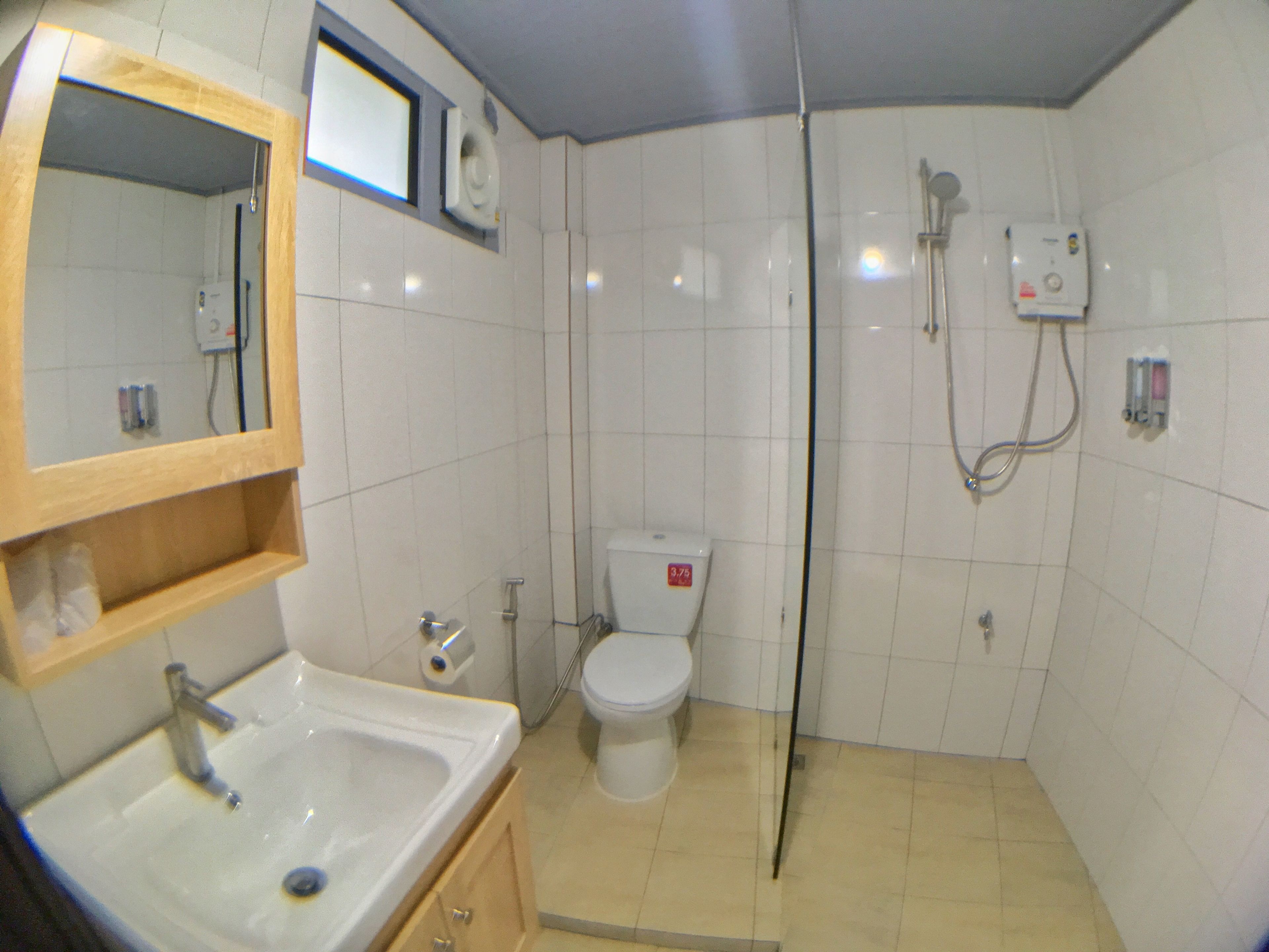 Un baño con lavabo, espejo, inodoro y ducha.