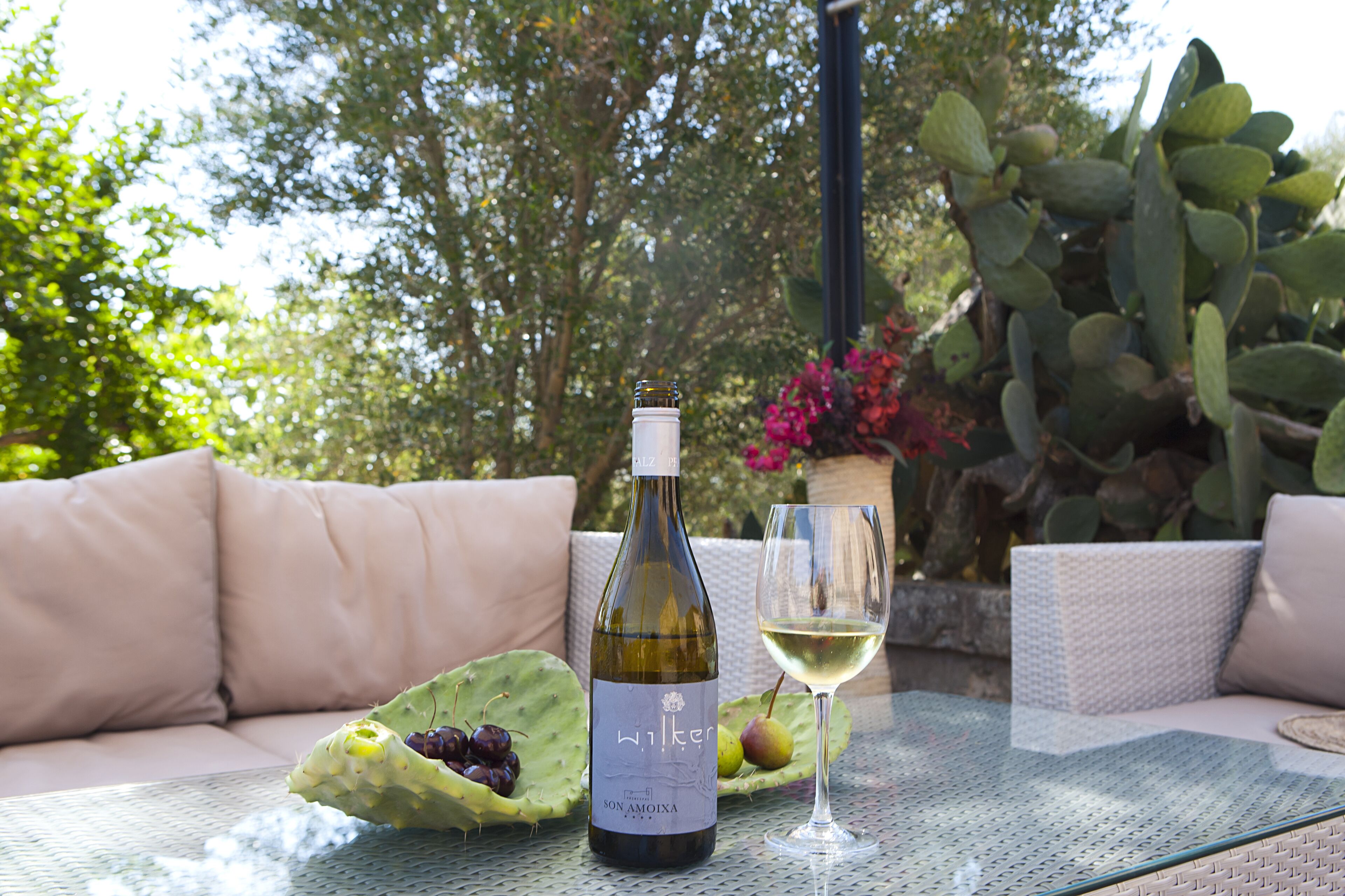 A bottle of wine and a glass on a table with a cactus and fruit.