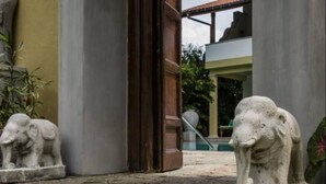 A stone pathway leading to a building entrance with two elephant statues on pedestals. - Villa Tara (Hikkaduwa)