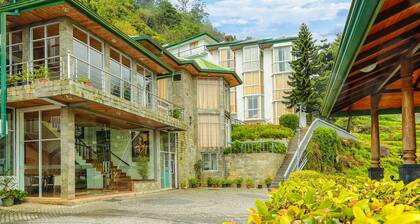 Oak Ray Summer Hill Breeze