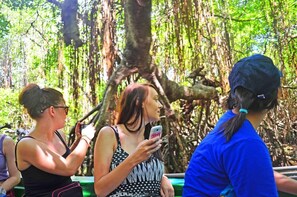Tres personas sentadas al aire libre, con árboles y un tronco de árbol grande al fondo.