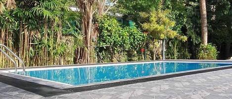 A swimming pool with a stone-tiled deck, surrounded by tropical vegetation and palm trees.