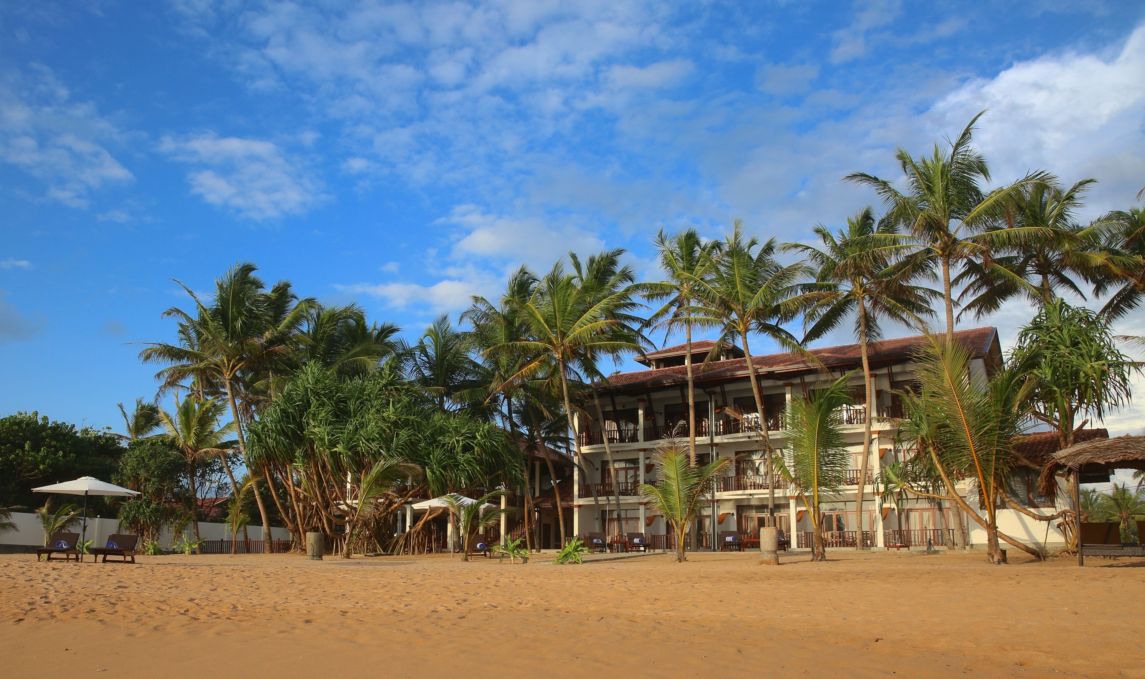 on the beach, free beach cabanas, sun-loungers, beach umbrellas