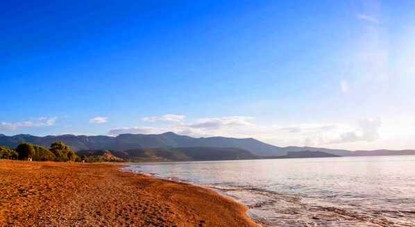 ชายหาด