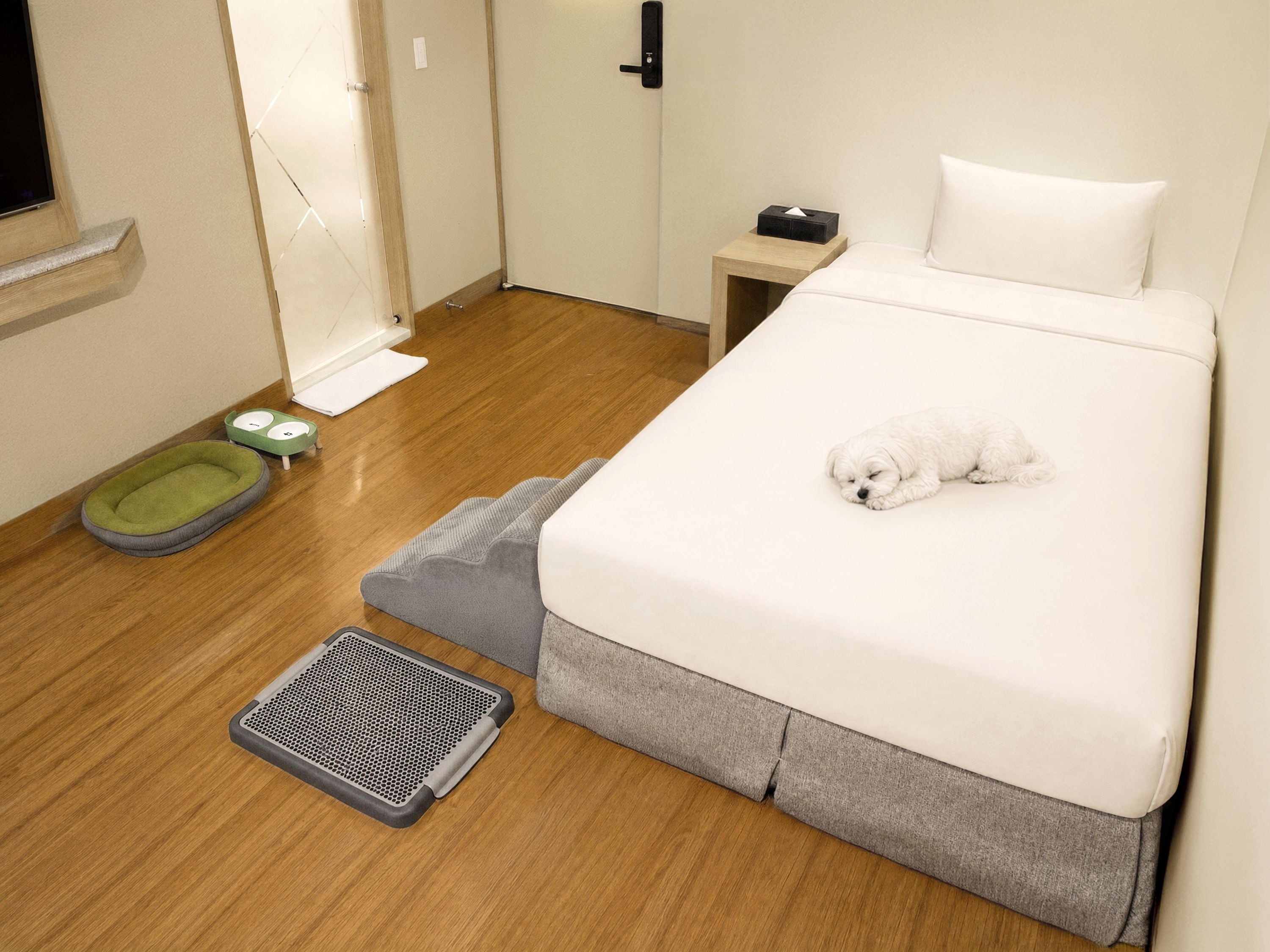 A hotel room with a bed, a pet bed, a small table, a green pet bowl, and a grey pet mat.