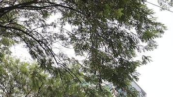 燒烤/野餐區