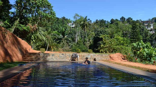 Una piscina con un muro de piedra y follaje al fondo.