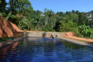 Outdoor pool, pool loungers