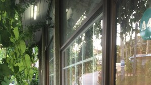 Un espacio al aire libre cubierto con un camino de hormigón, plantas verdes y una puerta de cristal que da a la calle.