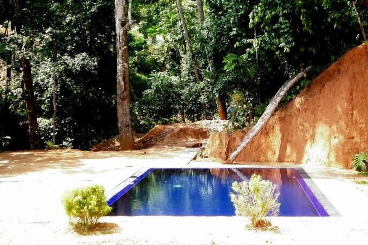 Una piscina rodeada por un paisaje natural con árboles y una colina rocosa.