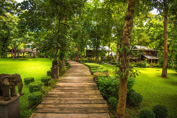 Vista desde la propiedad