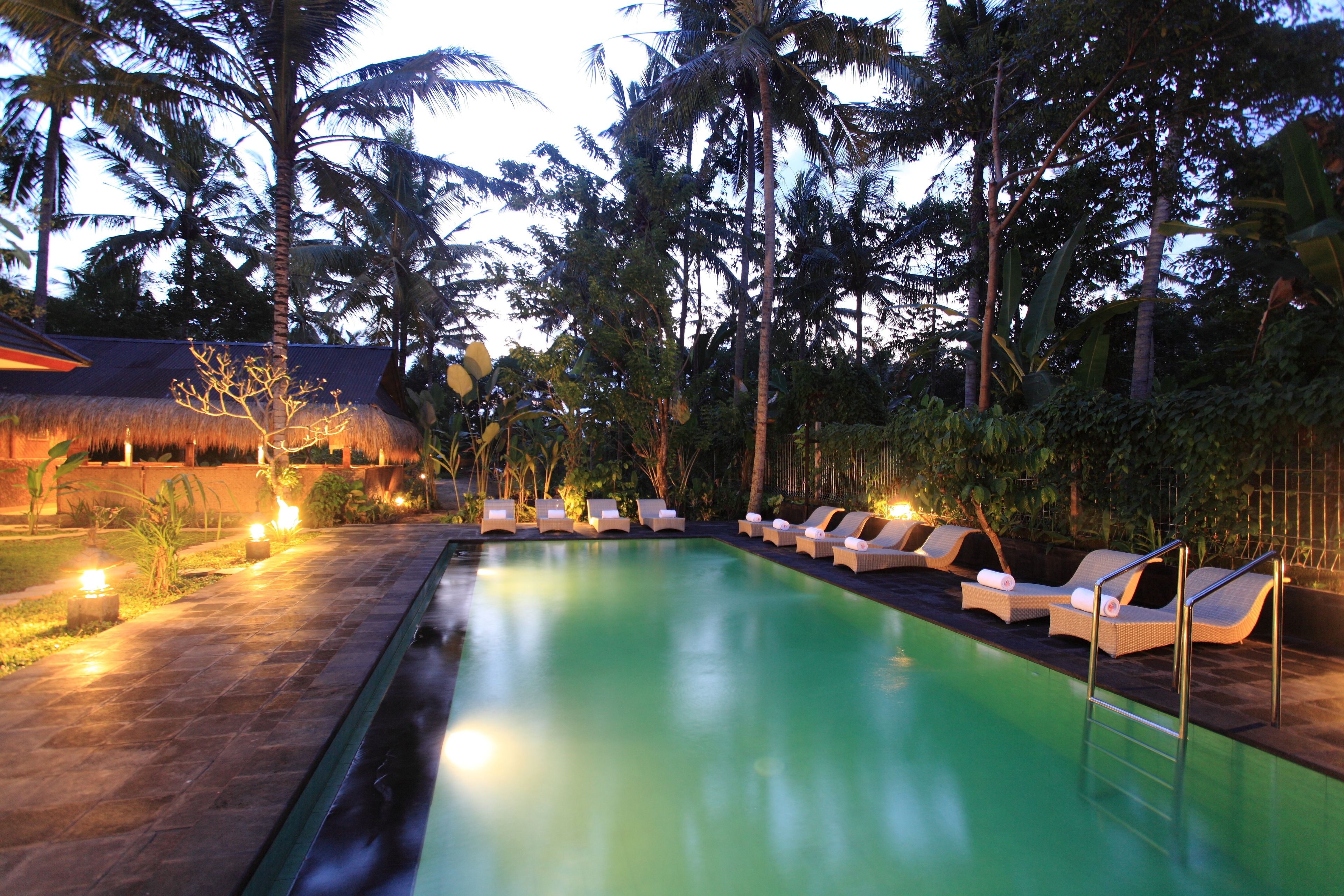 A swimming pool with lounge chairs and a thatched-roof structure in the background.