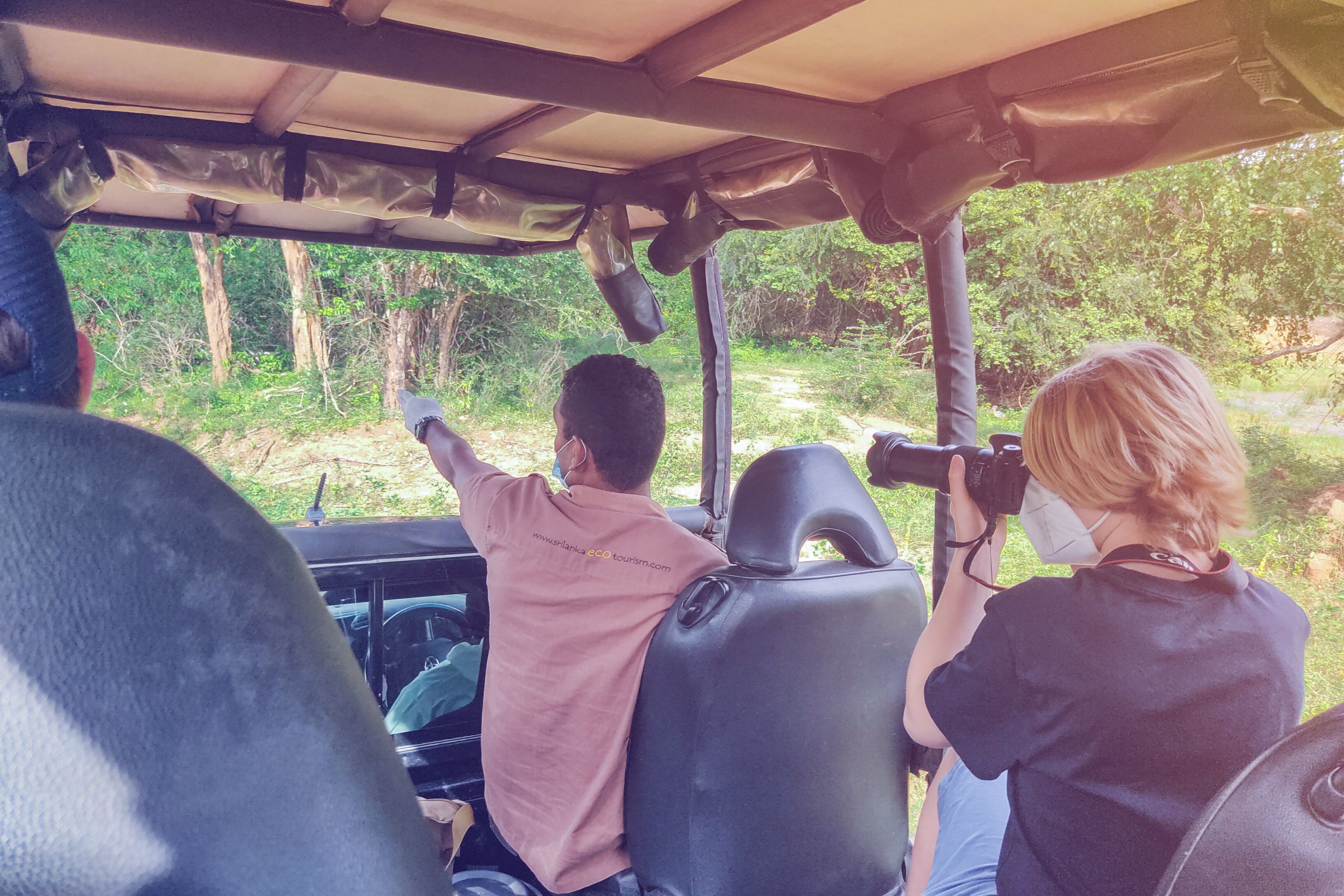 A vehicle interior with passengers, a steering wheel, and a view of a forested area through the windshield.