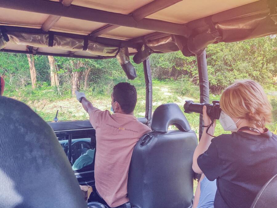 A vehicle interior with passengers, a steering wheel, and a view of a forested area through the windshield.