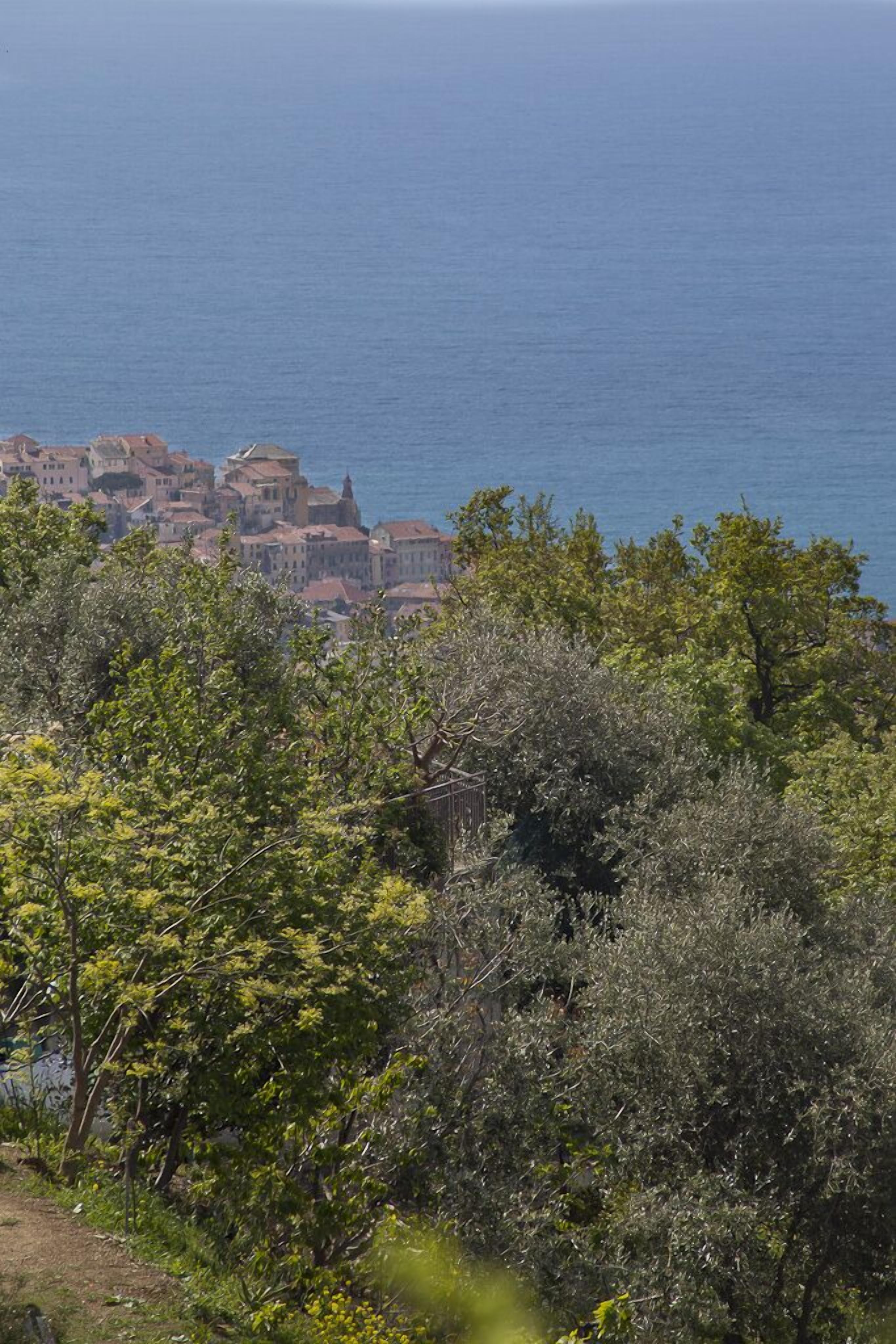 Un pueblo costero con edificios a lo largo del mar, rodeado de abundante vegetación.