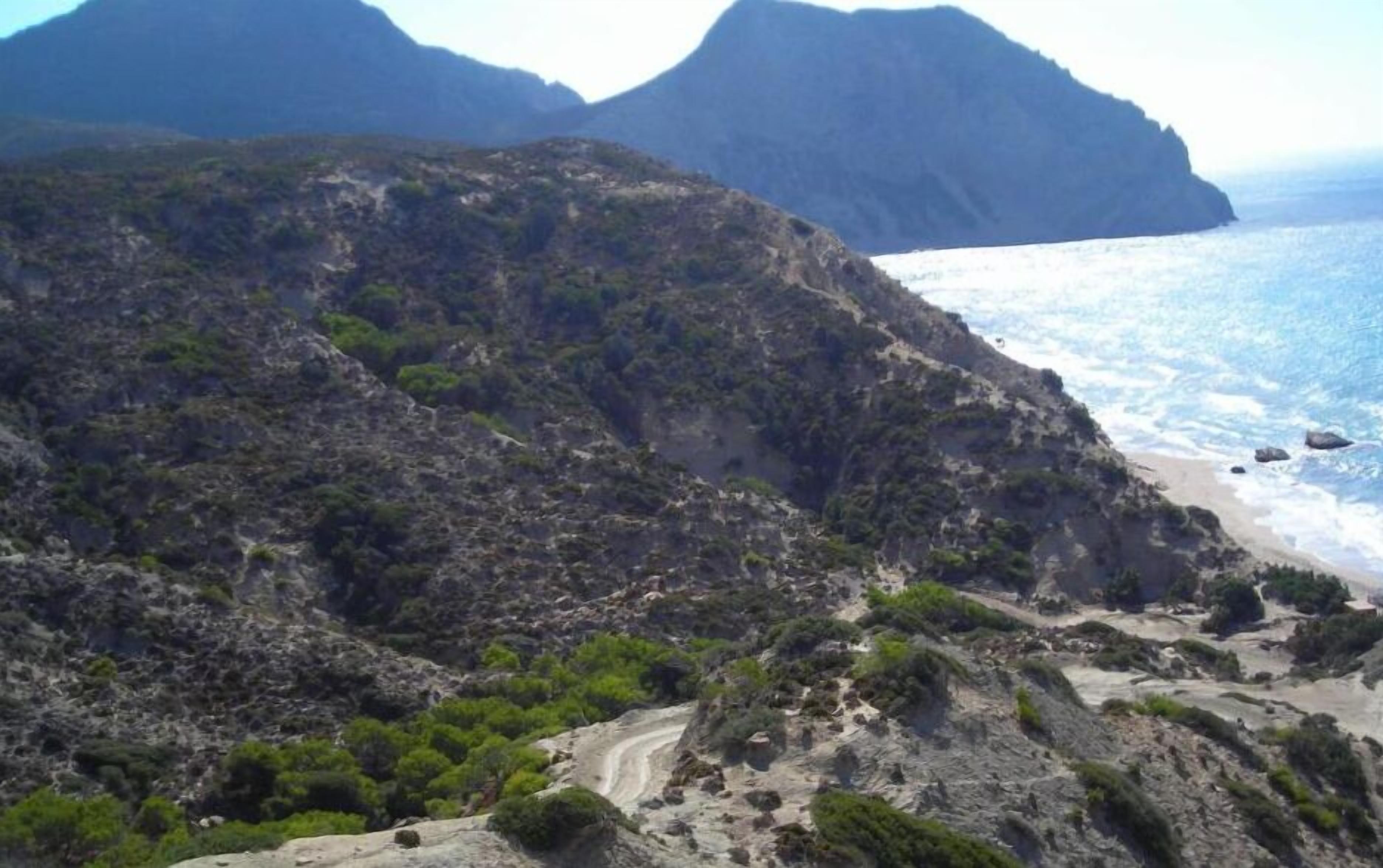 A rugged coastline with rocky terrain and sparse vegetation.