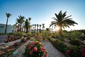 Garden - SENTIDO Reef Oasis Aqua Park Resort (Sharm El Sheikh)