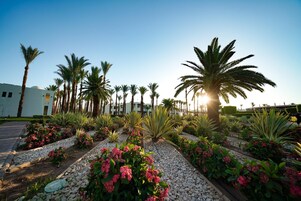 A landscaped garden with palm trees and flowering plants, a pathway, and a building in the background.