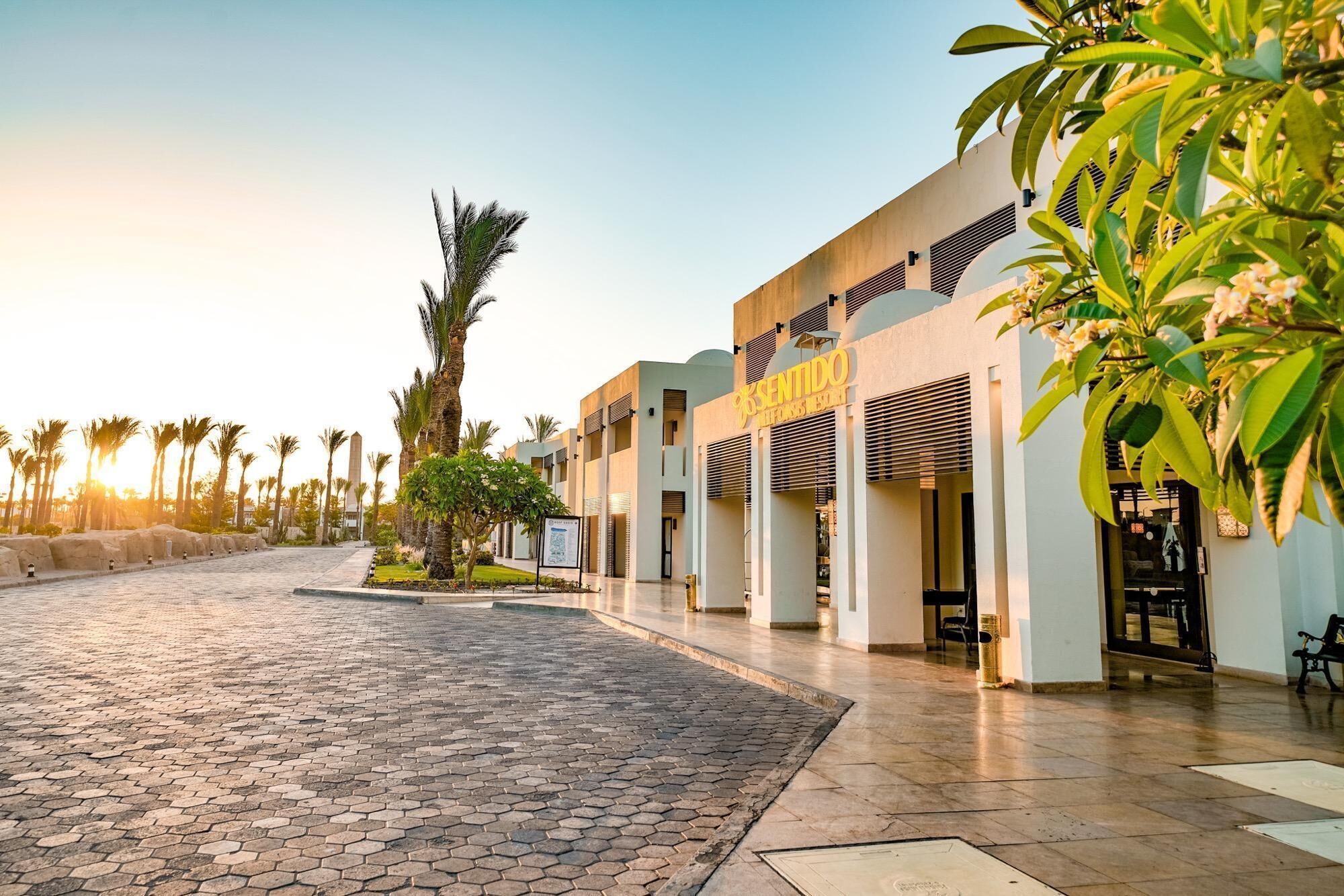 A hotel entrance with a paved walkway, palm trees, and a clear sky.