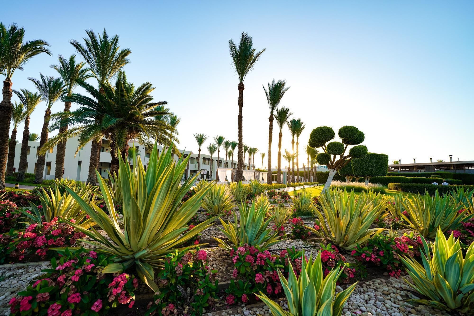 Jardin