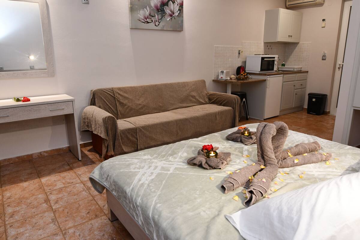 A hotel room with a bed, a sofa, a desk, and a kitchenette.
