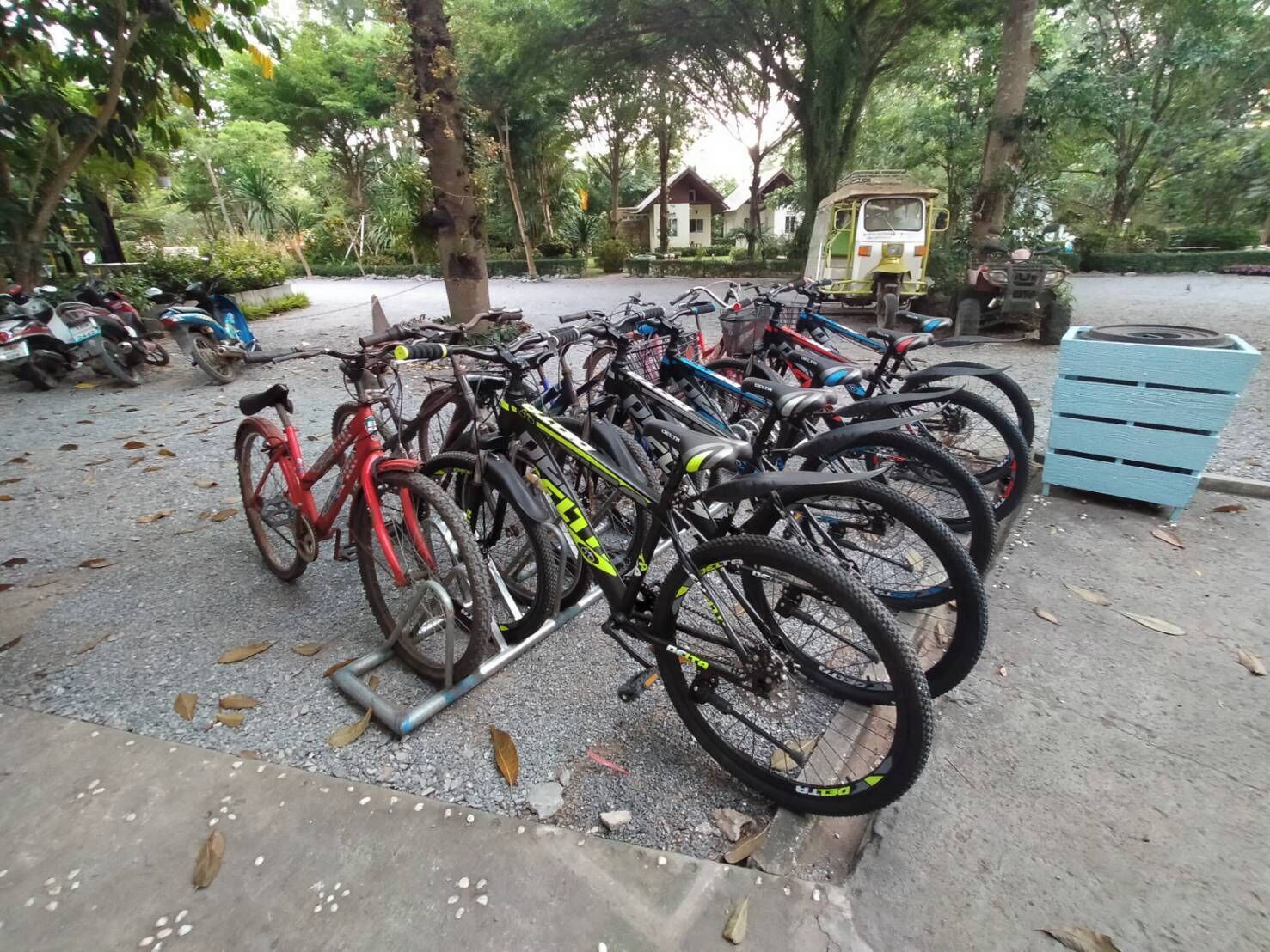 Una hilera de bicicletas estacionadas en una zona sombreada con árboles y un edificio al fondo.