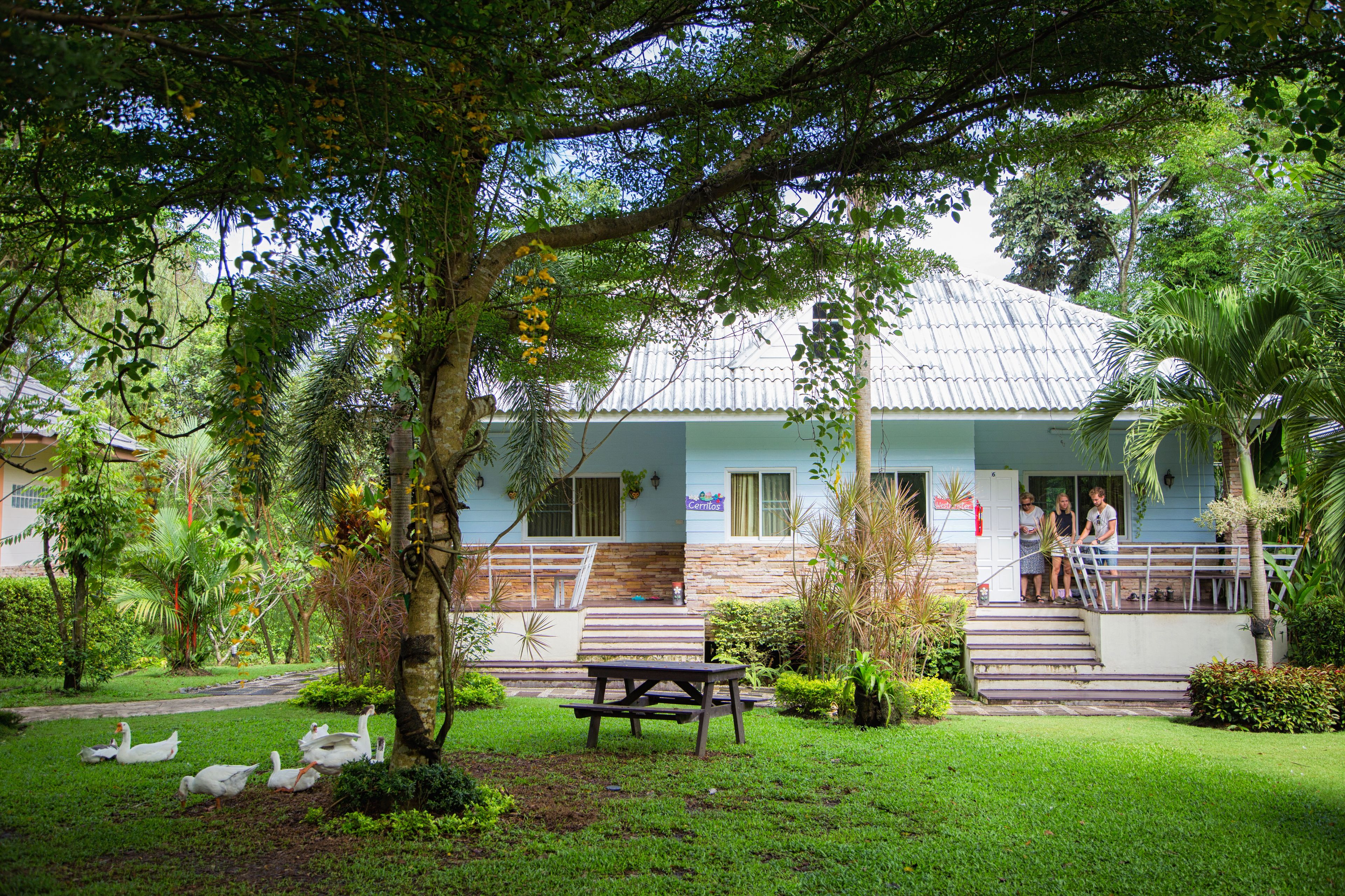 A house with a tiled roof, a front porch, and a small garden with ducks.