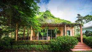 Un jardin luxuriant agrémenté d’une pergola en bois, d’un escalier menant à un bâtiment et d’un ciel dégagé.