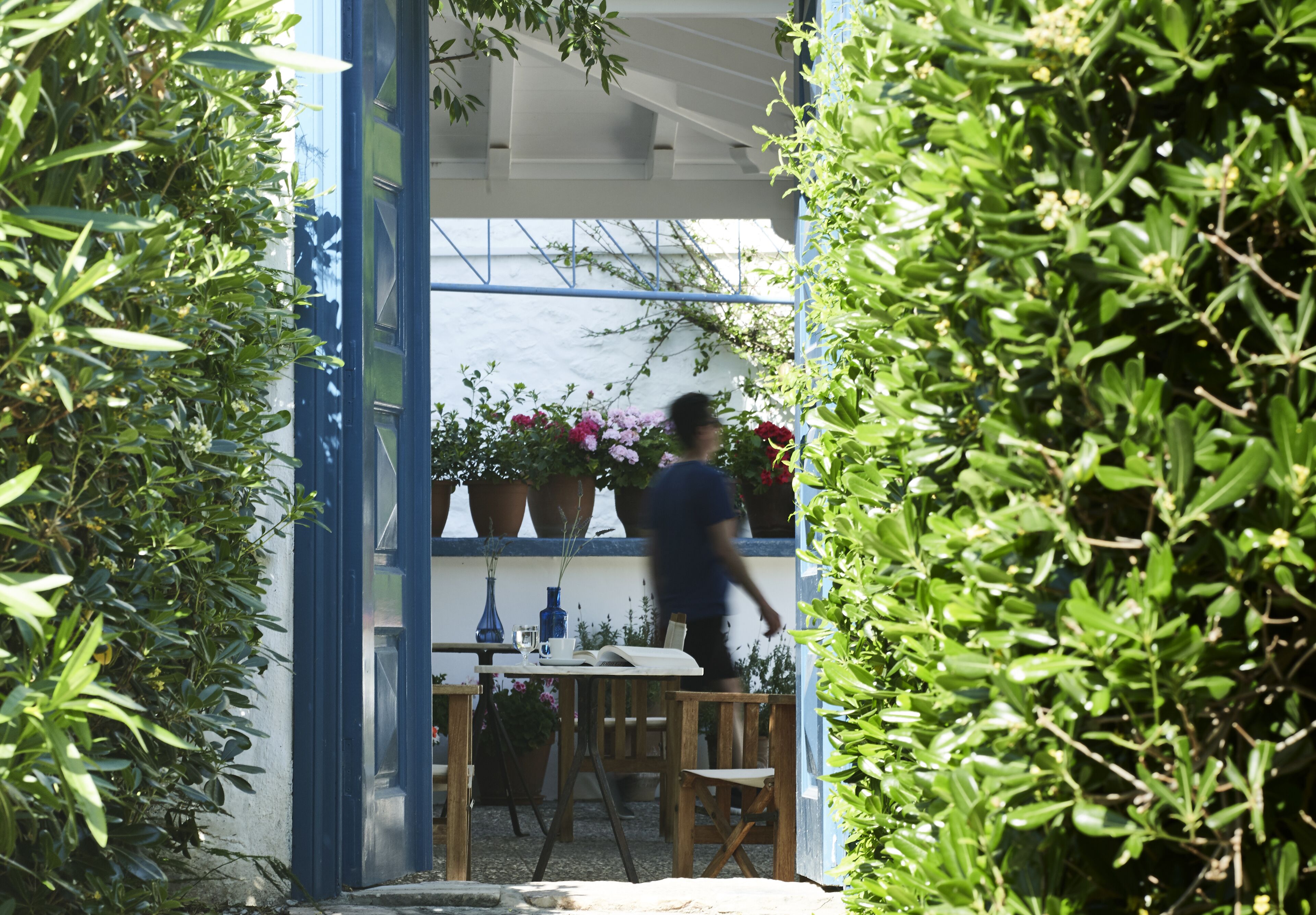 An outdoor patio area with a table and chairs, surrounded by potted plants and a blue railing.