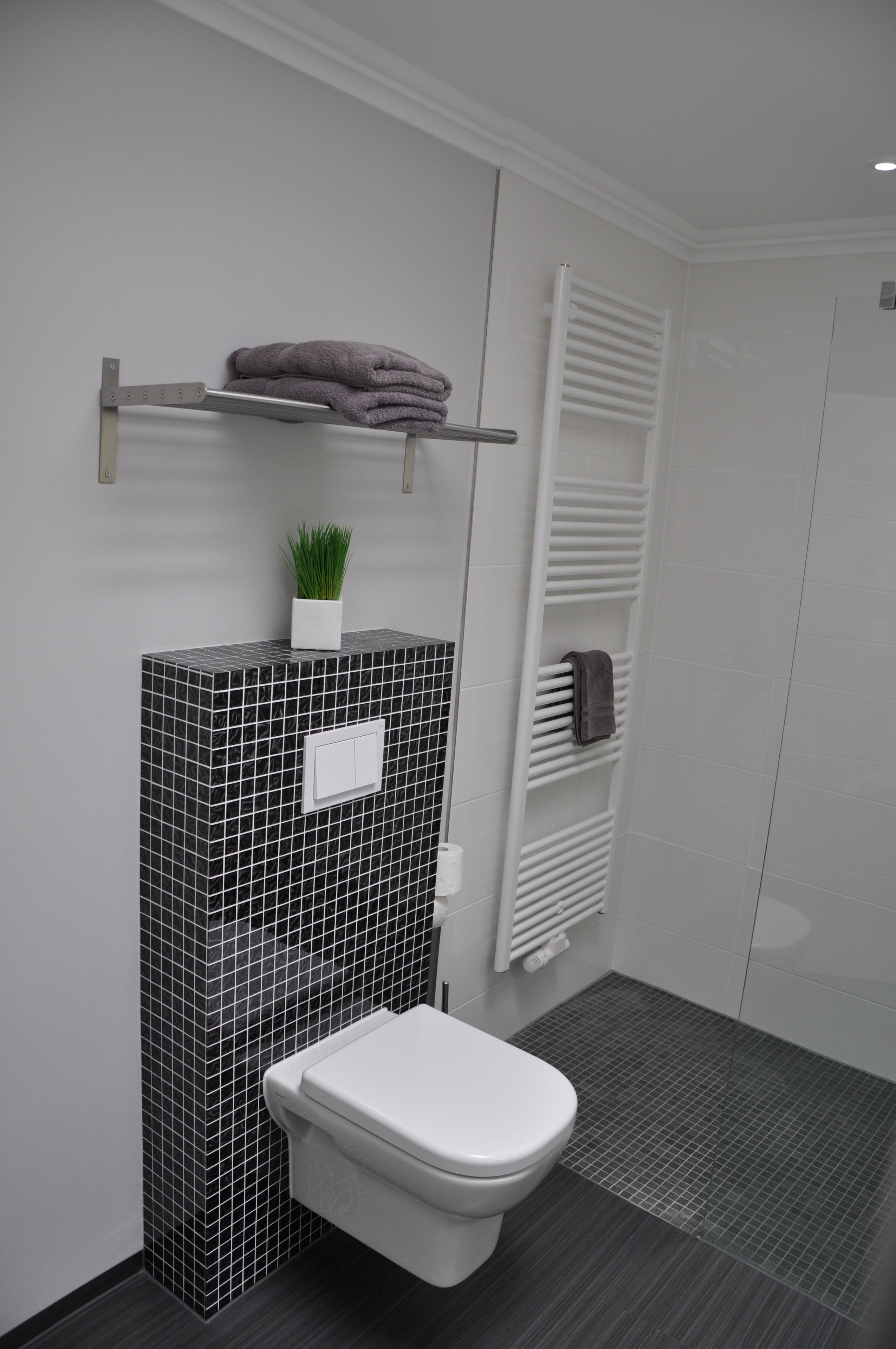 Een moderne badkamer met een zwart-wit betegelde muur, een wit toilet, een handdoekhouder met een opgevouwen handdoek, en een kleine potplant.