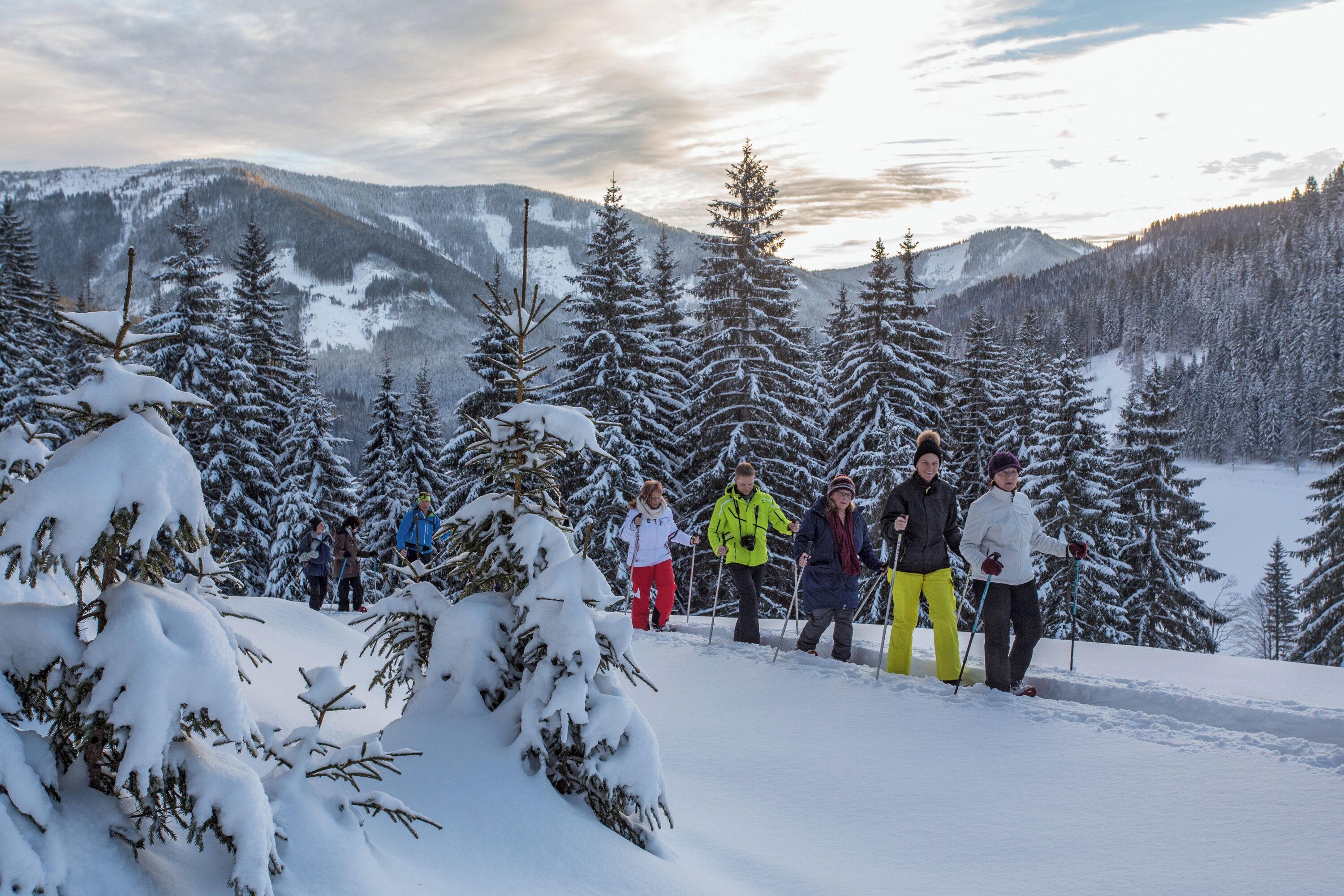 A group of people on a snowy mountain with trees, likely a ski resort.