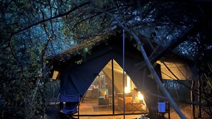 A tent-like structure with a glass front, surrounded by trees, and a small table with a chair outside.