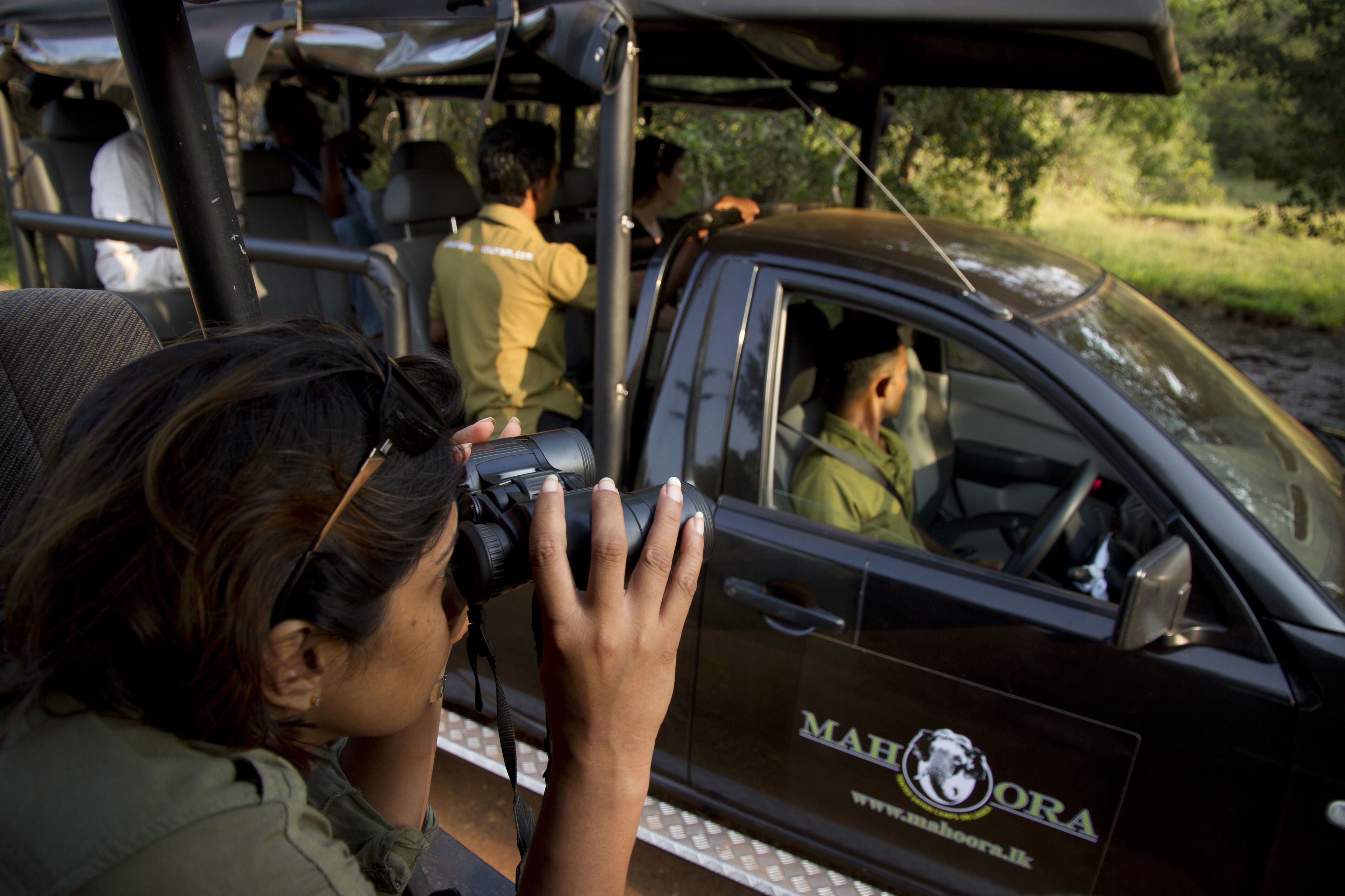 A safari vehicle with a logo and website on the side.