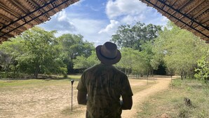A person standing under a thatched roof structure, looking out at a natural landscape with trees and a clear sky.