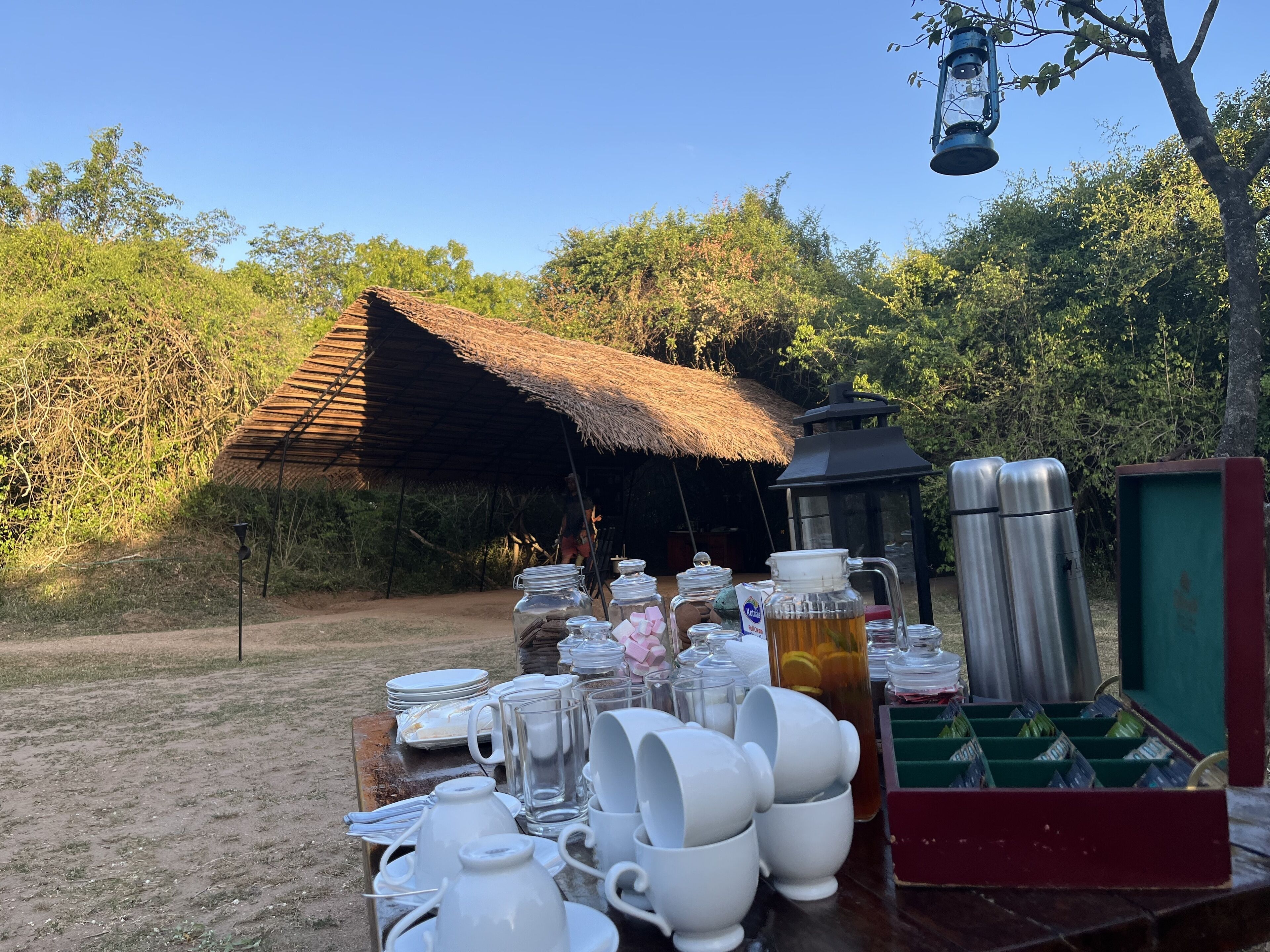 Un coin repas en plein air au style rustique, avec une cabane à toit de chaume, une table sur laquelle sont disposés de la vaisselle blanche, des tasses et un thermos, et une lanterne suspendue au-dessus.