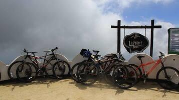 A row of bicycles parked against a wall with a sign that reads "Lupion's Seat."