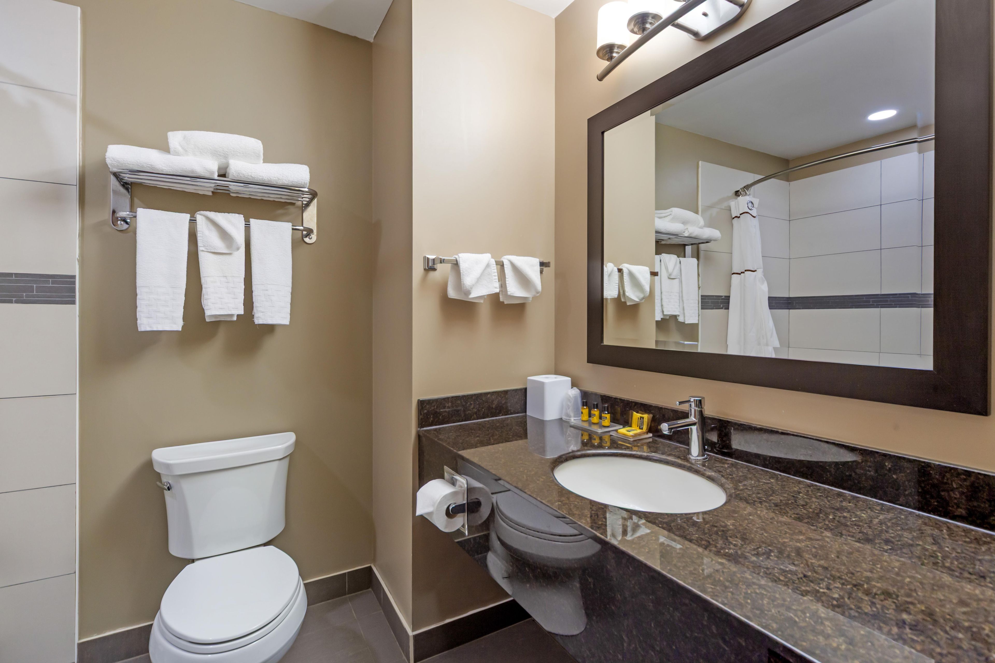 A hotel bathroom with a toilet, sink, and mirror.