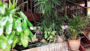 Área de jardim com diversos vasos de plantas e cerca de madeira.