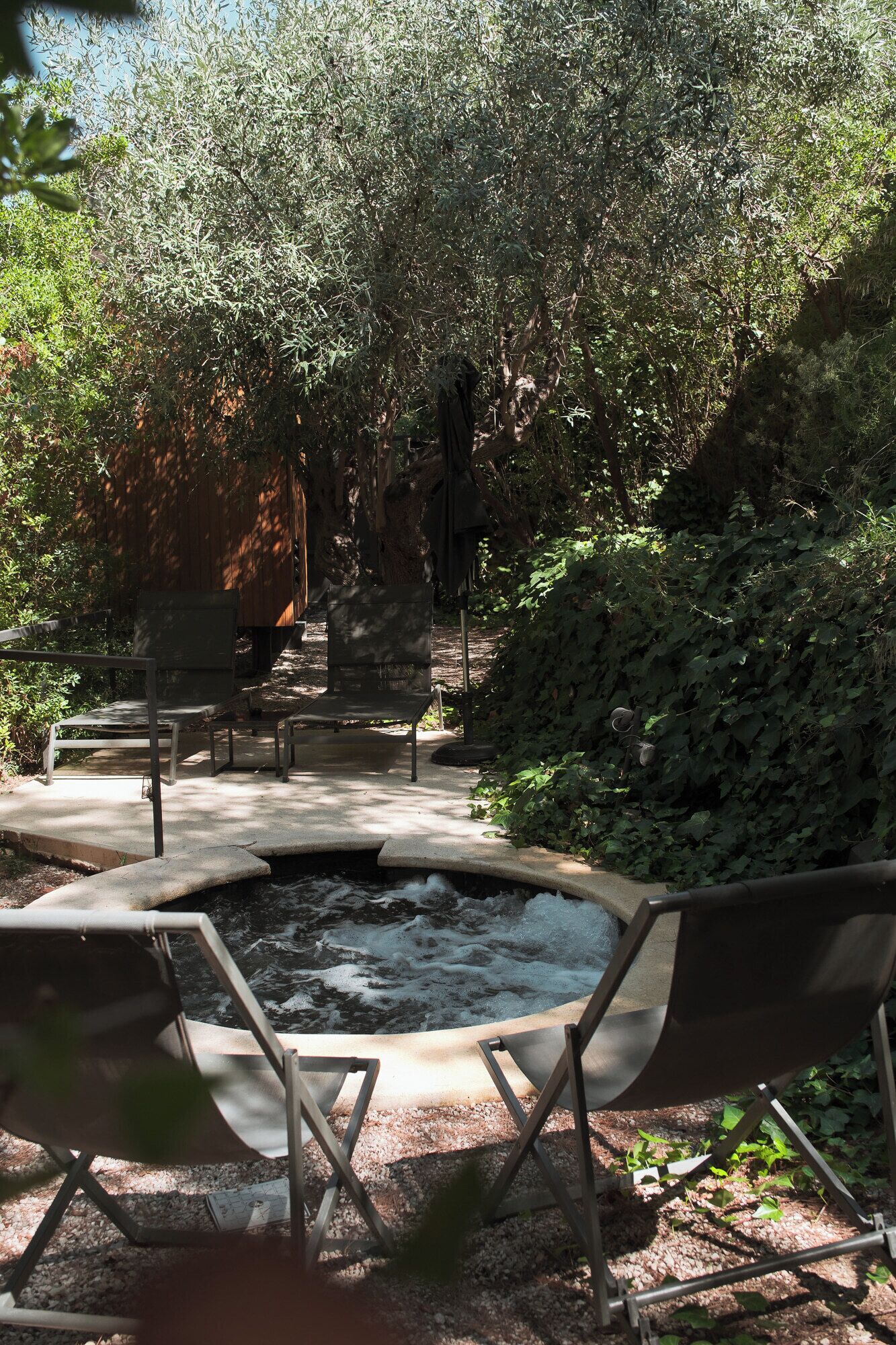 A natural setting with a hot tub surrounded by trees and a bench.