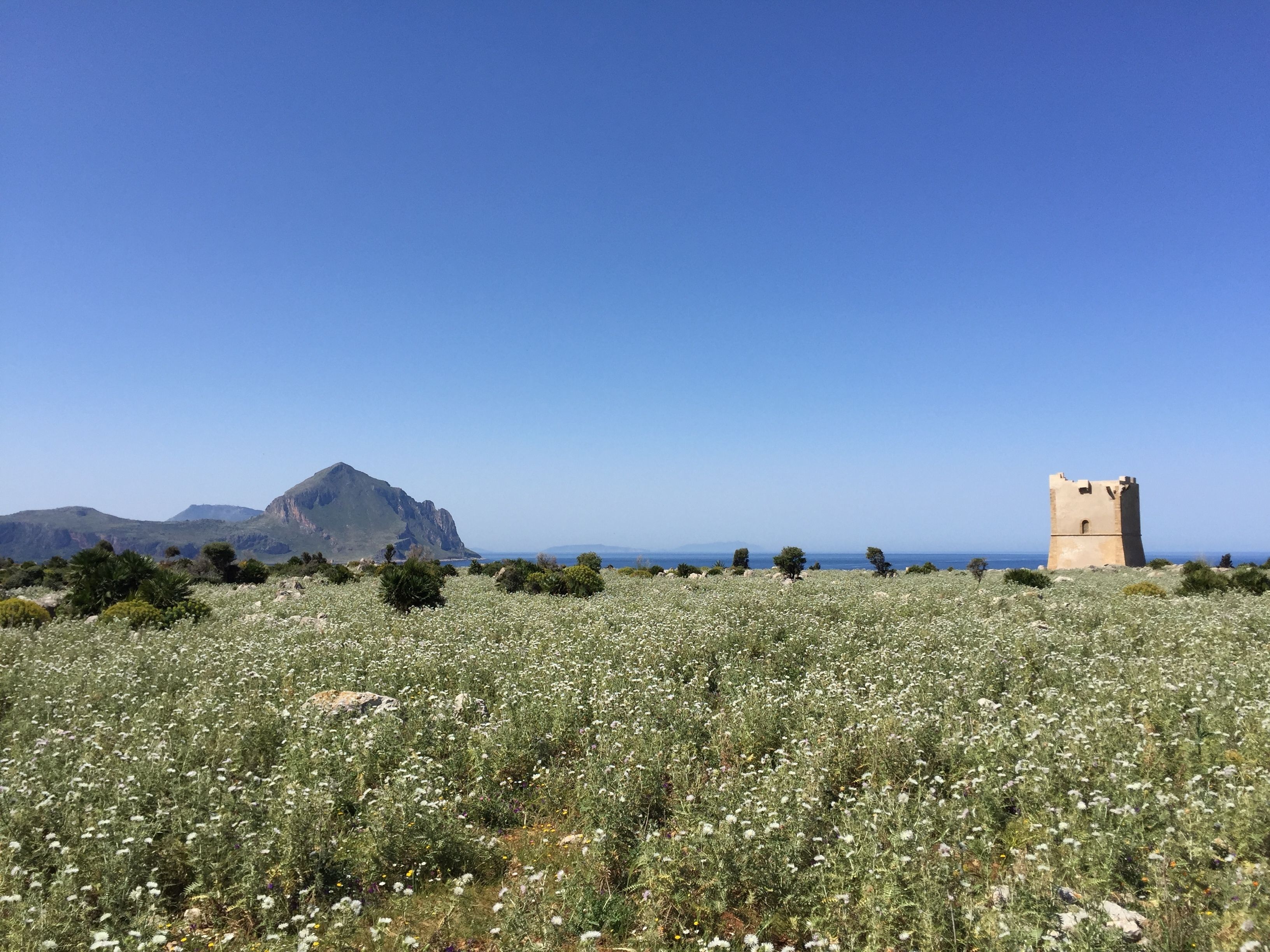 A field with a tower and mountains in the background.