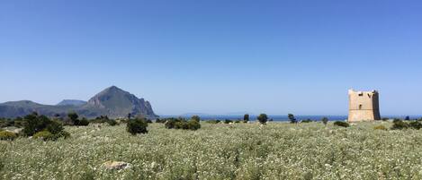 A field with a tower and mountains in the background.