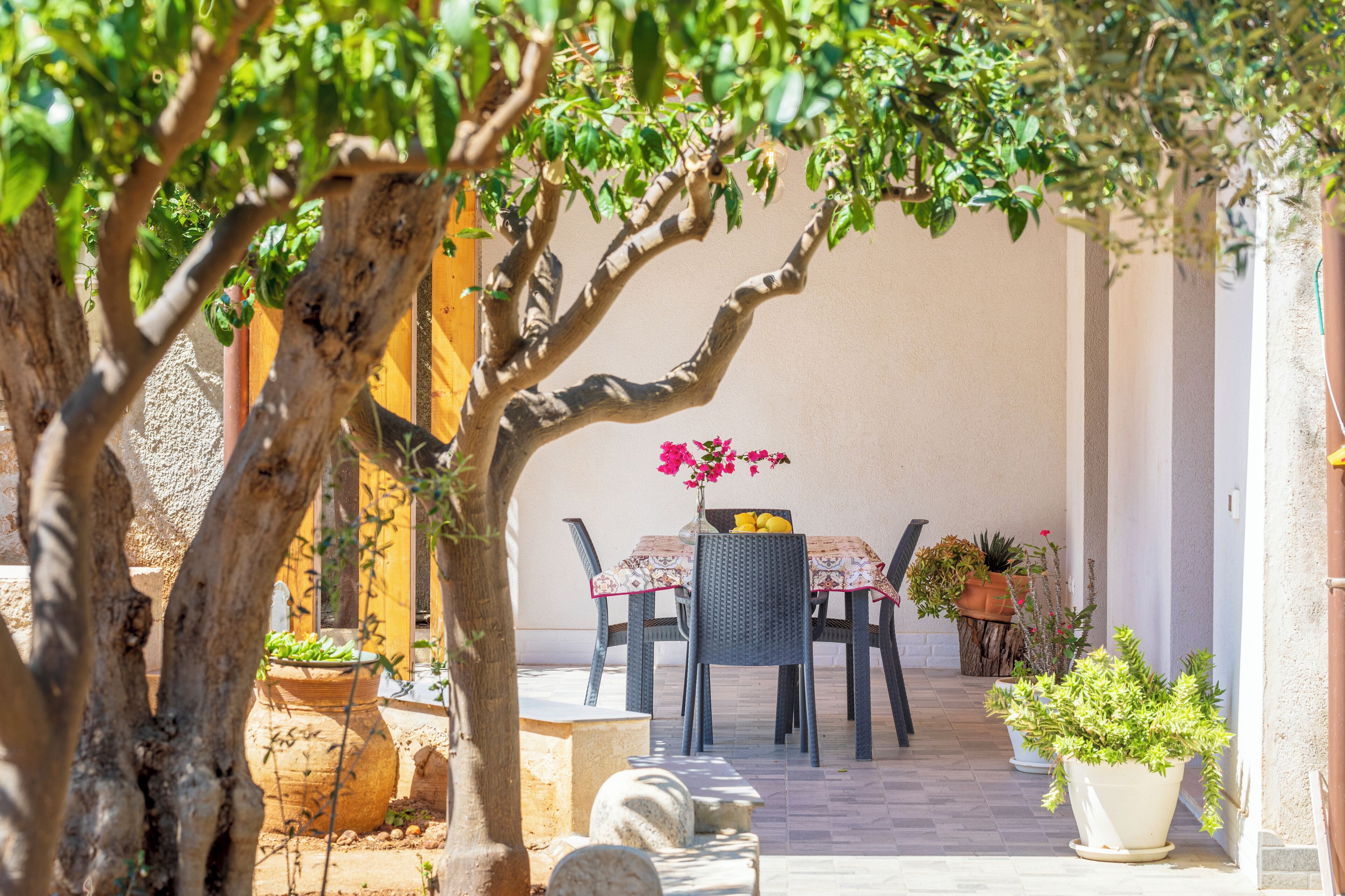 An outdoor patio with a table and chairs, surrounded by potted plants and a tree.
